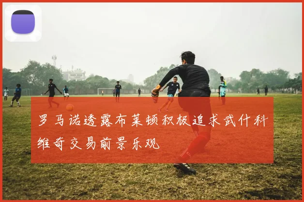 罗马诺透露布莱顿积极追求武什科维奇交易前景乐观